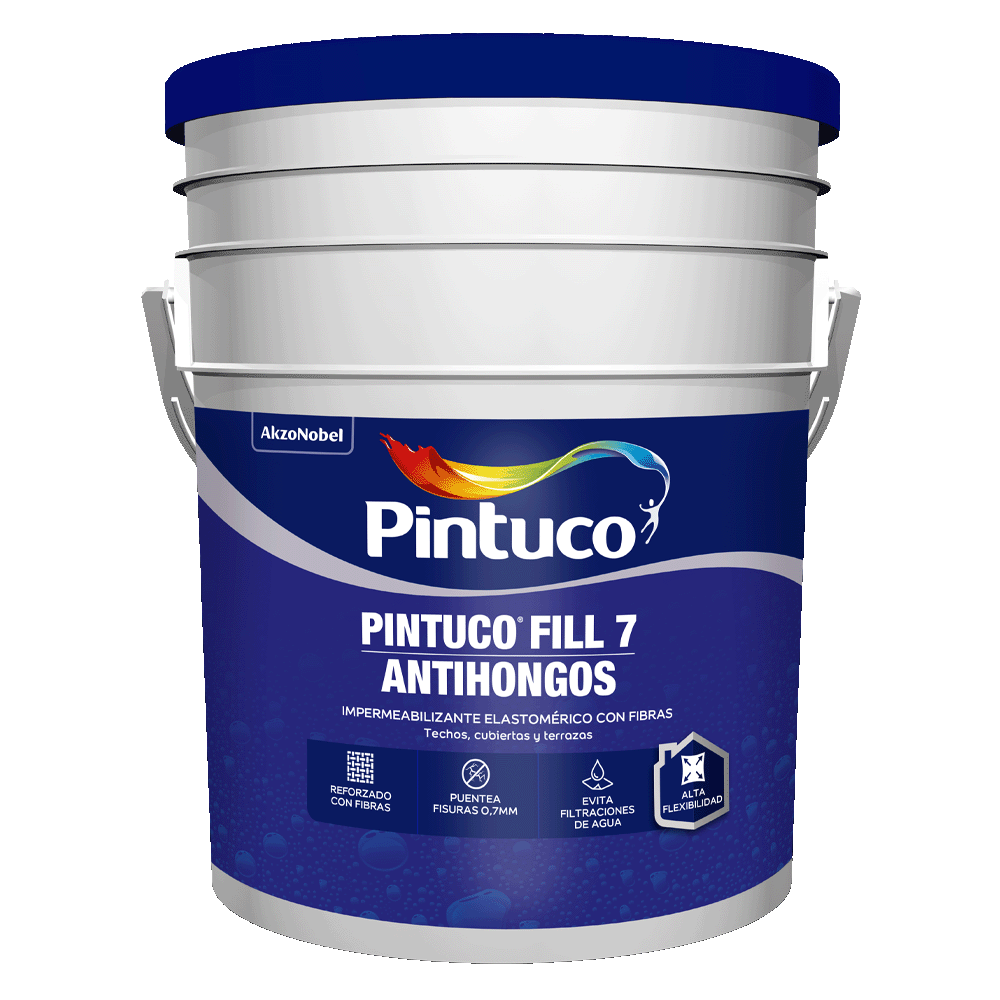 Pintuco