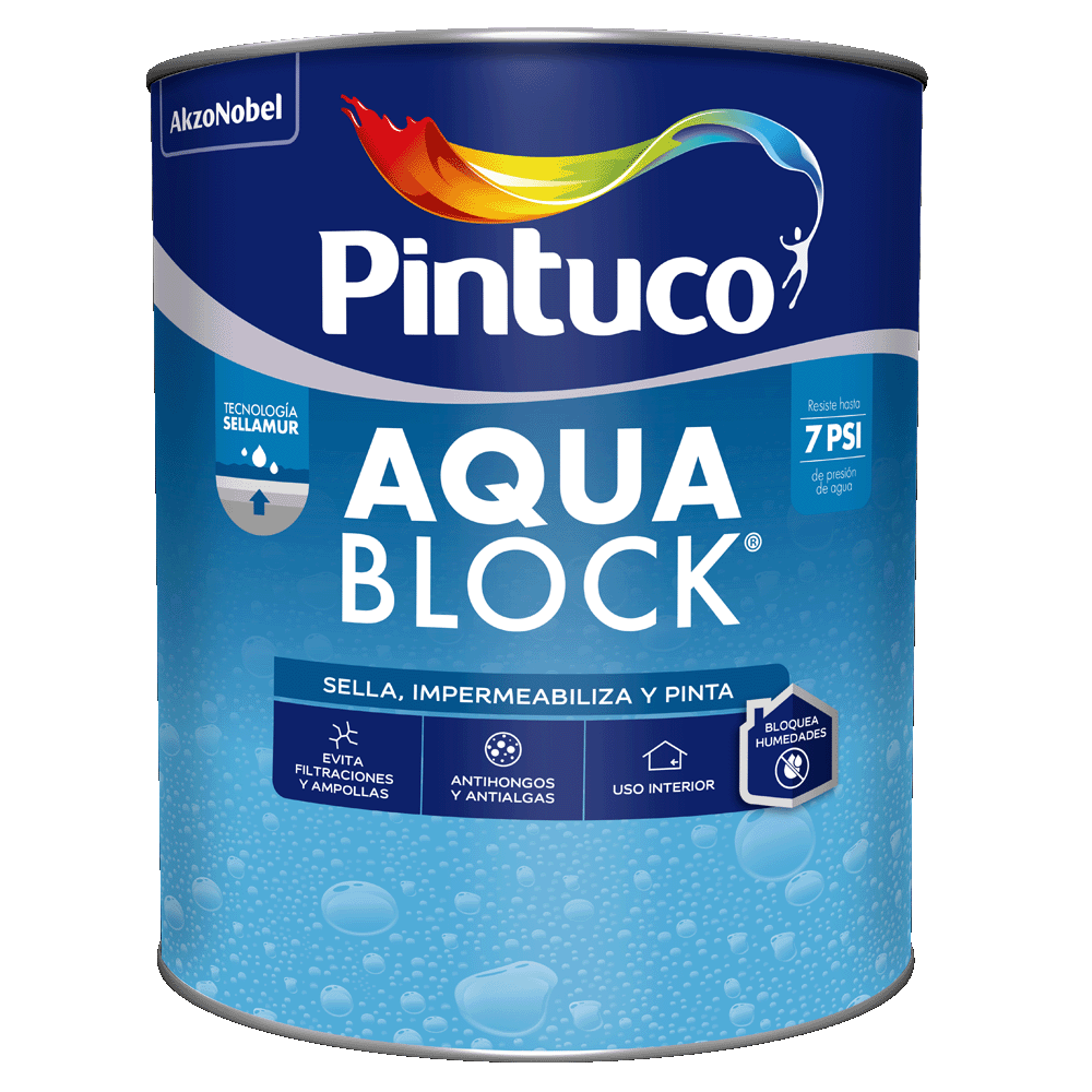 Pintuco