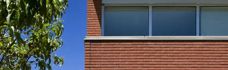 ¿Por qué usar rinses especializados para las fachadas?