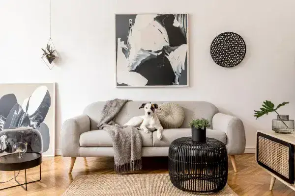 El minimalismo como clave la de salas | Pintuco