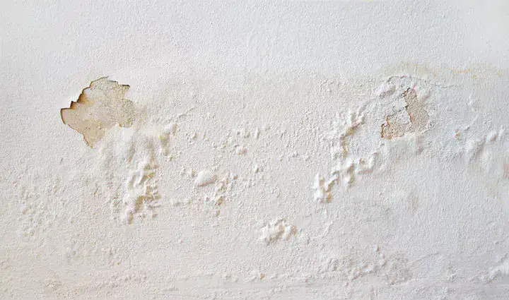Cómo proteger una pared de la humedad con pintura impermeabilizante